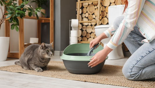 お部屋のニオイが消える!?消臭力の高い猫砂の選び方って?